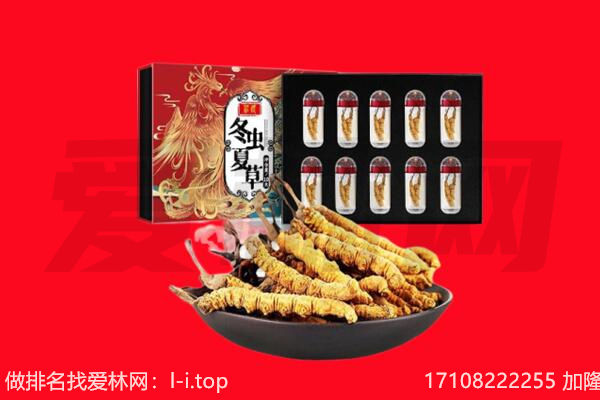 东阿县回收虫草.jpg
